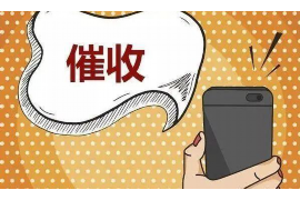 隆回融资清欠服务